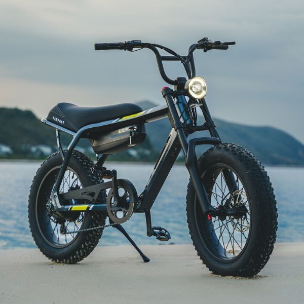 XE ĐẠP ĐIỆN VINFAST DRGNFLY