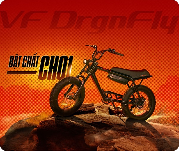 XE ĐẠP ĐIỆN VINFAST DRGNFLY